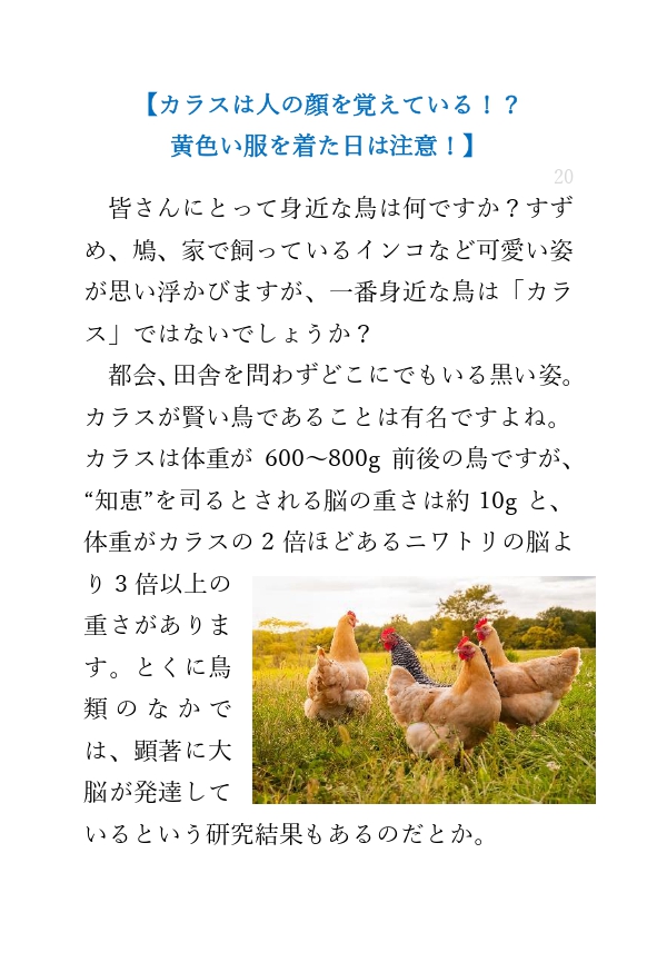 lineコラム_カラスの記憶力